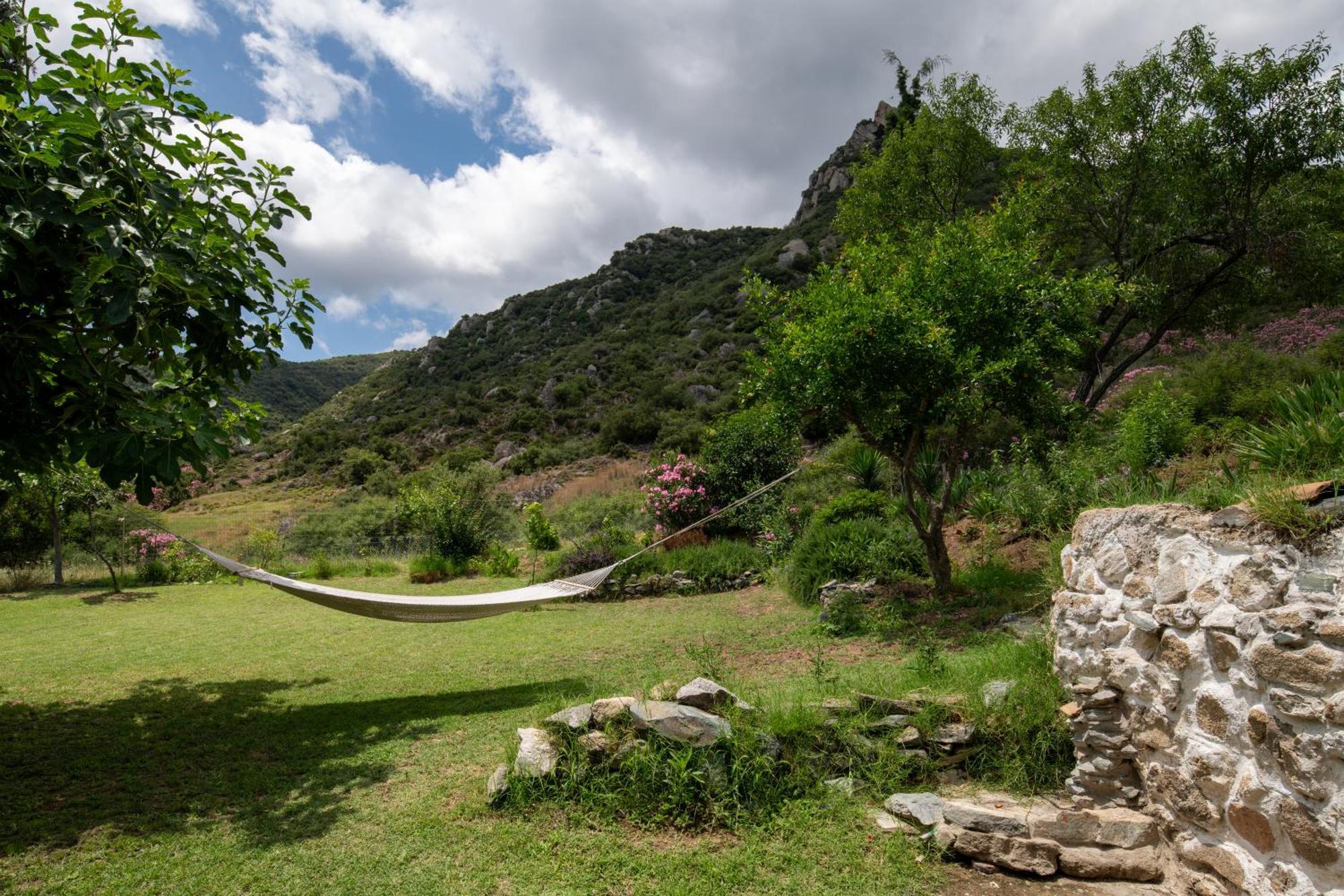 Bravita House Sykia Chalkidikis
